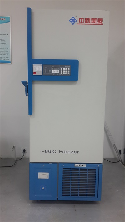 초 온도 냉동 저장 상자
