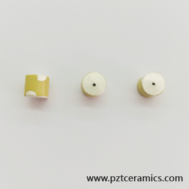 압전 세라믹 센서 Piezo Transducer China Manufacturer 맞춤형 제품