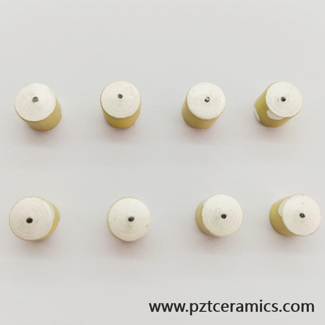 압전 세라믹 센서 Piezo Transducer China Manufacturer 맞춤형 제품