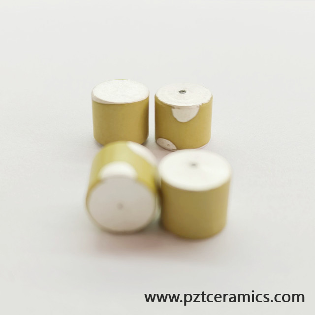 압전 세라믹 센서 Piezo Transducer China Manufacturer 맞춤형 제품