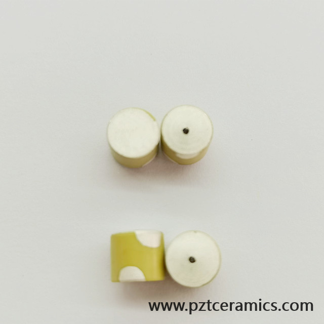 압전 세라믹 센서 Piezo Transducer China Manufacturer 맞춤형 제품